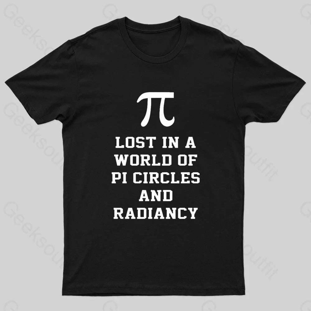 Lost In A World Of Pi Geek T-Shirt